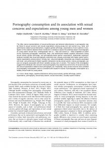 Pornography consumption and its association with sexual concerns and expectations among young men and women
