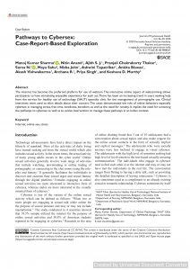 Pathways to Cybersex: Case-Report-Based Exploration